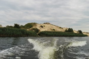 Гусинцы